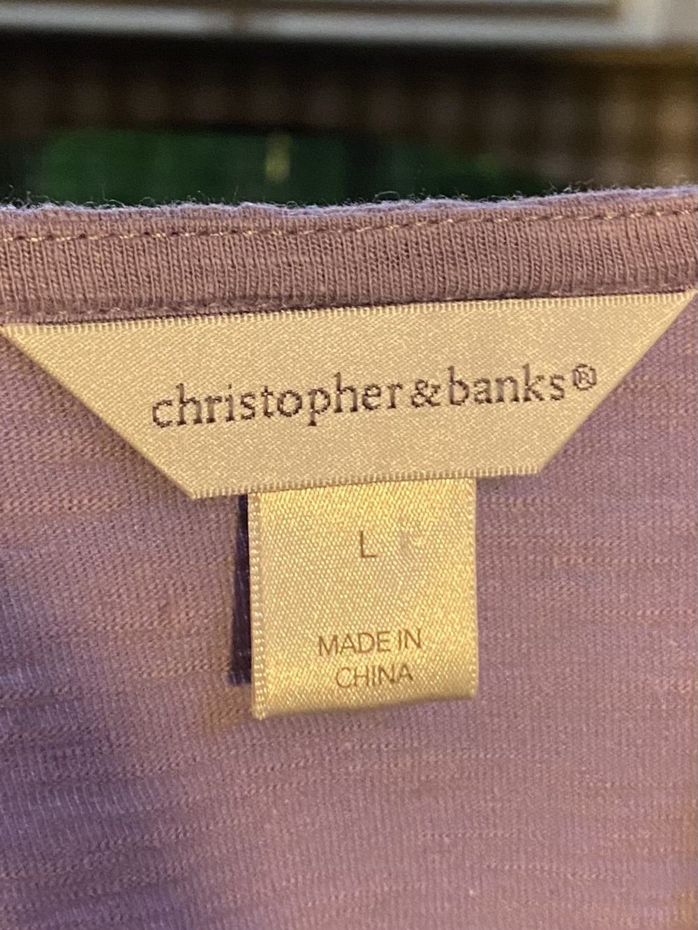 Christopher & Banks Men’s Bag in Light Purple